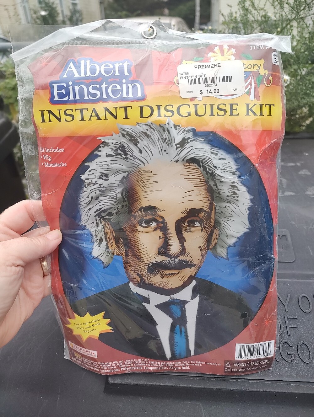 Einstein Disguise Kit
